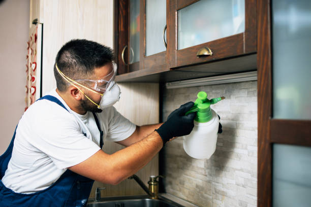 Best Pest Removal Services  in Crimora, VA