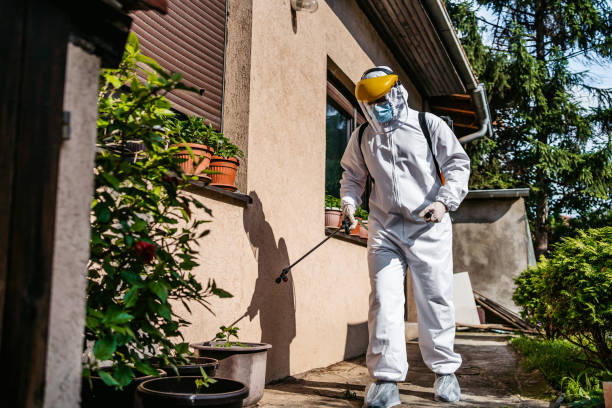 Best Pest Inspection Near Me  in Crimora, VA