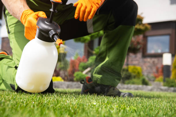 Best Insect Control  in Crimora, VA