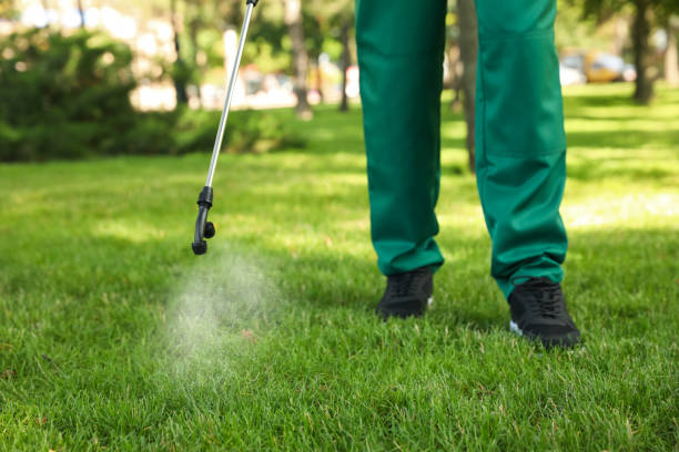 Best Emergency Pest Control  in Crimora, VA