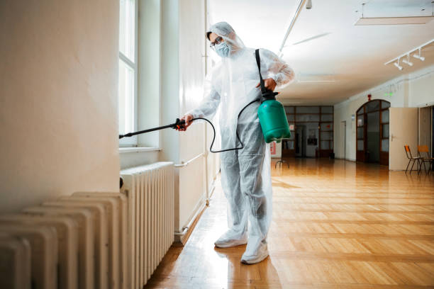 Best Affordable Pest Control Services  in Crimora, VA