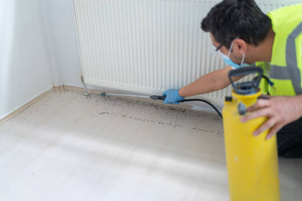 Best Cockroach Control Services  in Crimora, VA