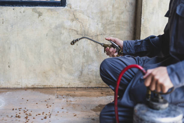 Best Affordable Pest Control Services  in Crimora, VA